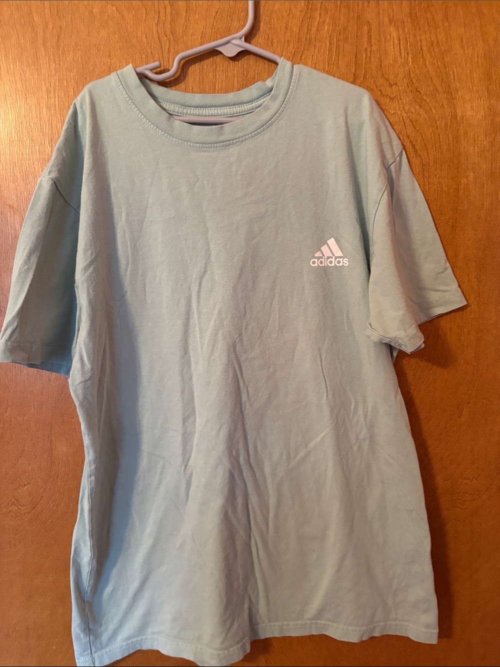 adidas Men's Mint Green Short Sleeve Logo Tee